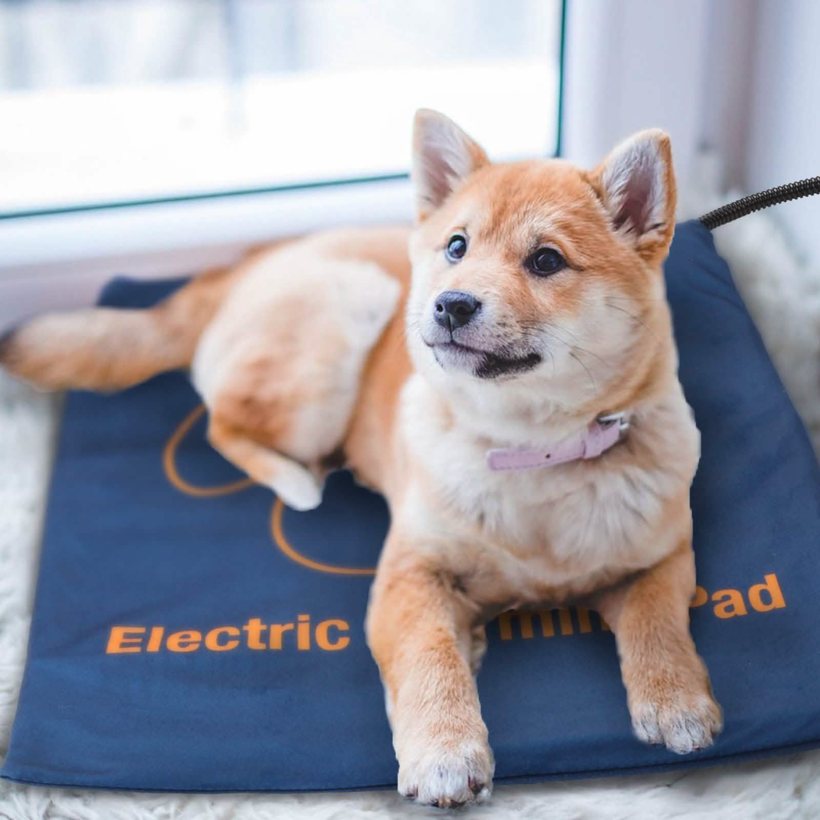 24 Inch Pet Heating Pad Electric Blanket DailySale