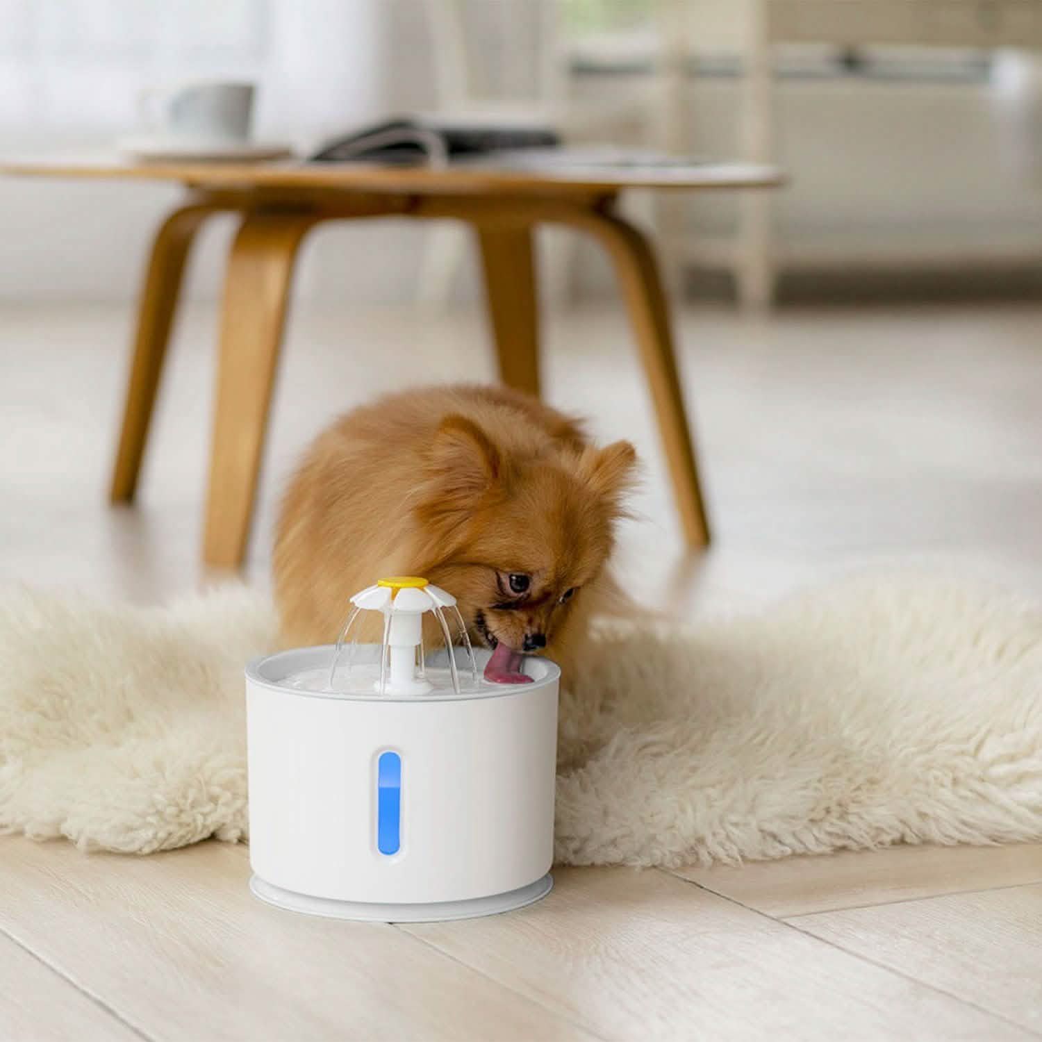 2.4L Automatic Pet Water Fountain DailySale