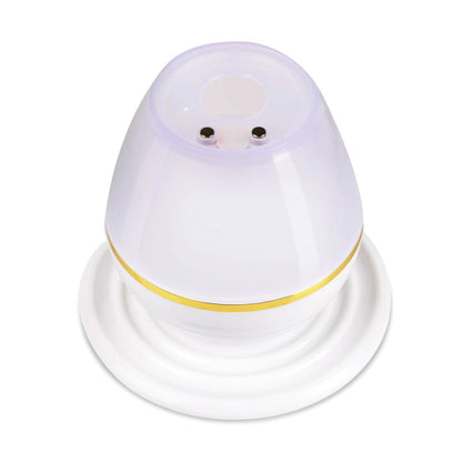 250 ML Cool Mist Humidifier with 7 Color Changeable LED Lights DailySale