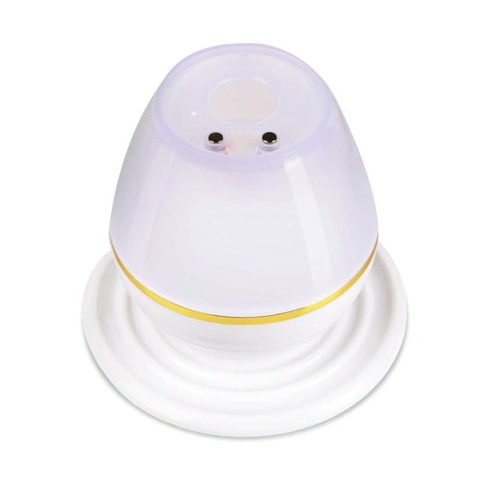 250 ML Cool Mist Humidifier with 7 Color Changeable LED Lights DailySale