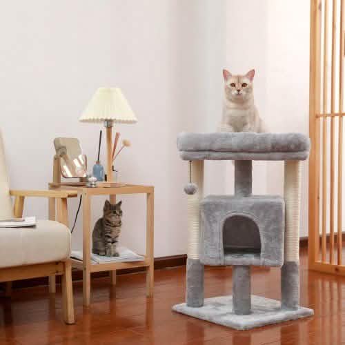 28.4" Cat Tree for Indoor Cats Tower DailySale