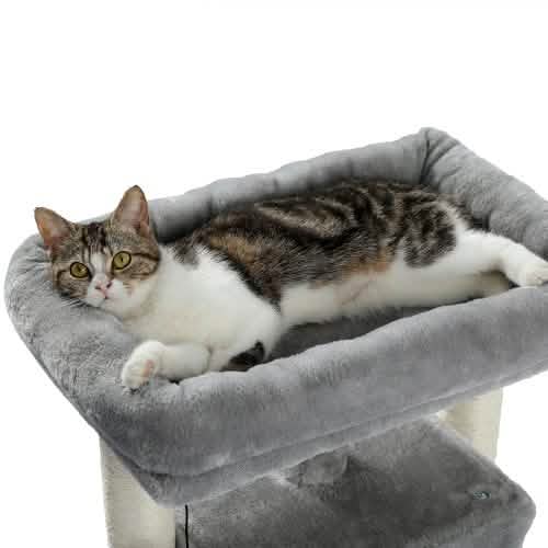 28.4" Cat Tree for Indoor Cats Tower DailySale