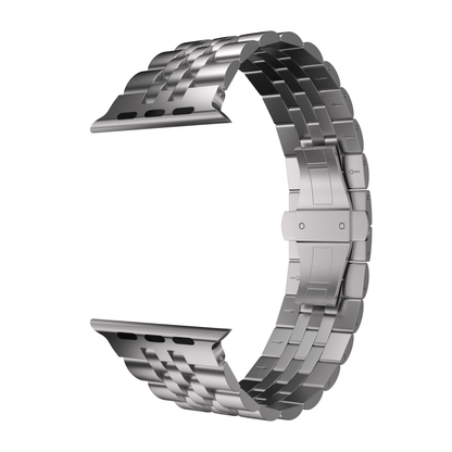Titanium Band T05 Robust