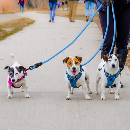 3 Dog Leash Traction Rope Walking Training Lead with Padded Handle DailySale