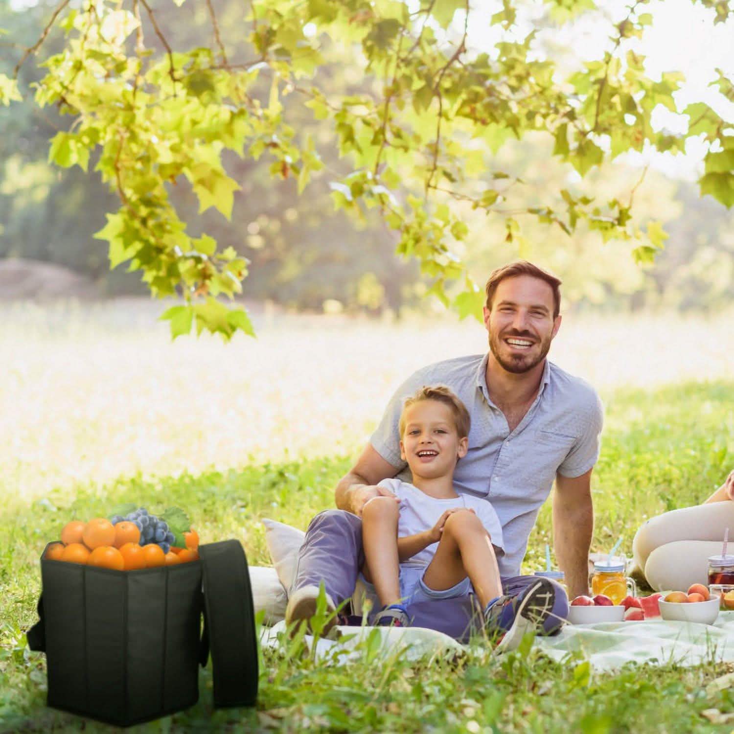 3 Gallon Collapsible Grocery Cooler Bag Seat Combo DailySale