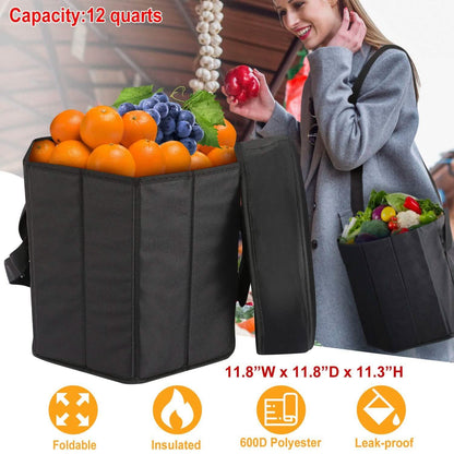 3 Gallon Collapsible Grocery Cooler Bag Seat Combo DailySale