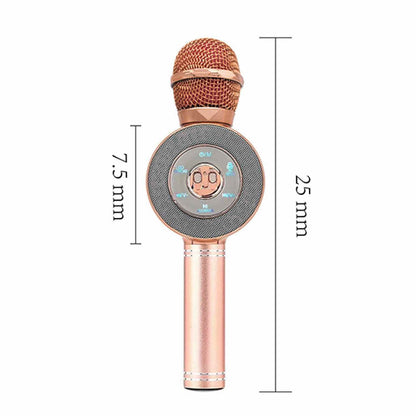 3-in-1 Wireless Karaoke Microphone DailySale