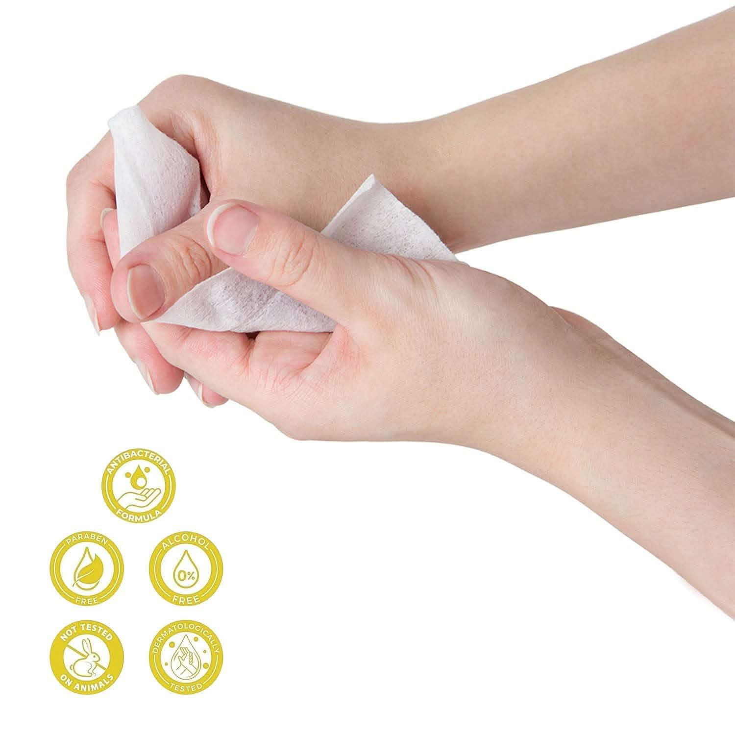 3-Pack Of Fresh N Clean Antibacterial Wipes DailySale