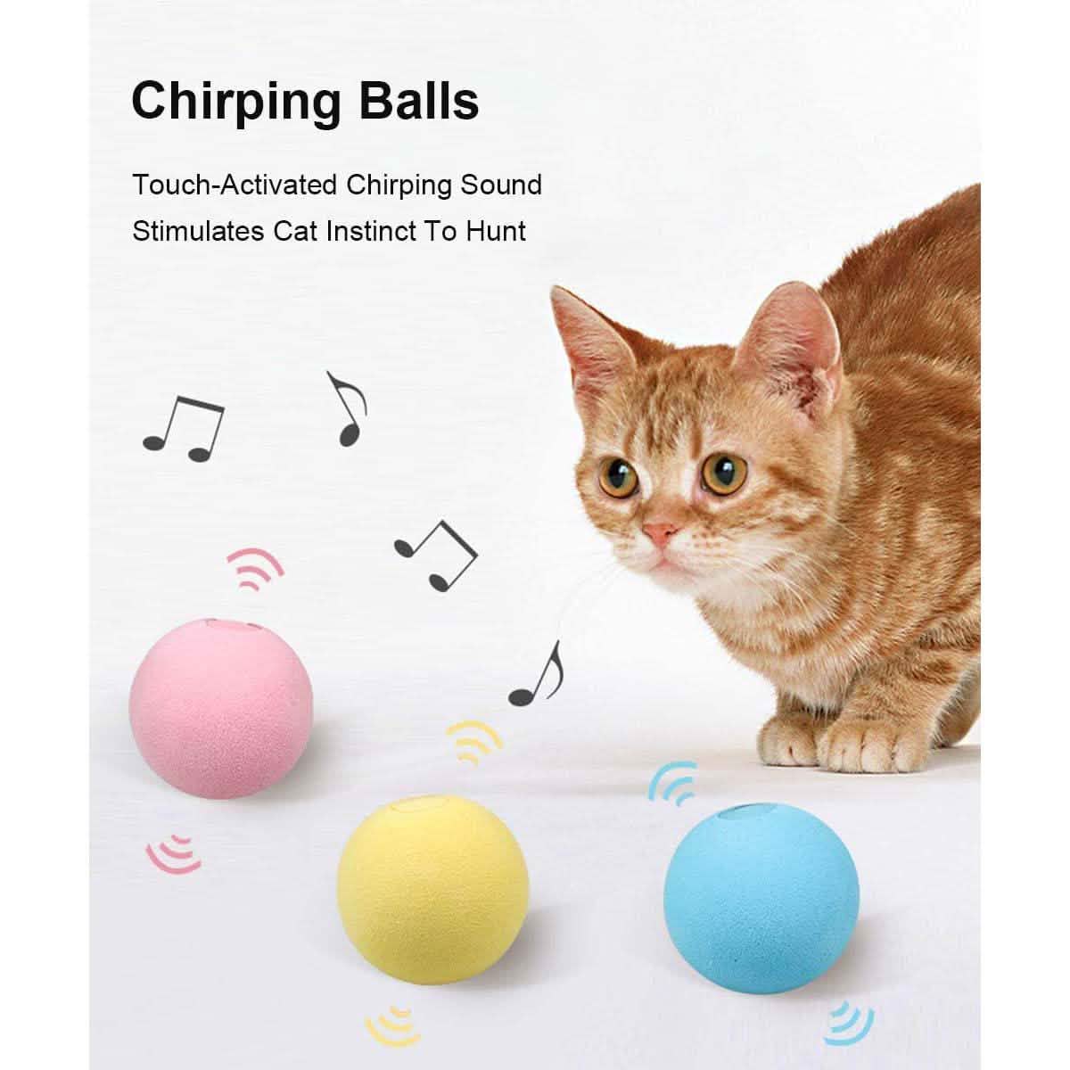 3-Pack: Realistic Chirping Balls Cat Toys DailySale
