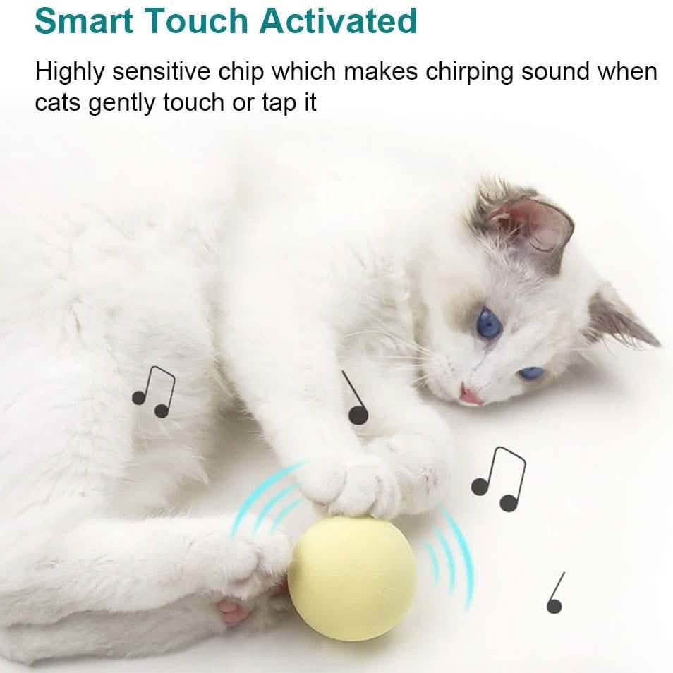 3-Pack: Realistic Chirping Balls Cat Toys DailySale