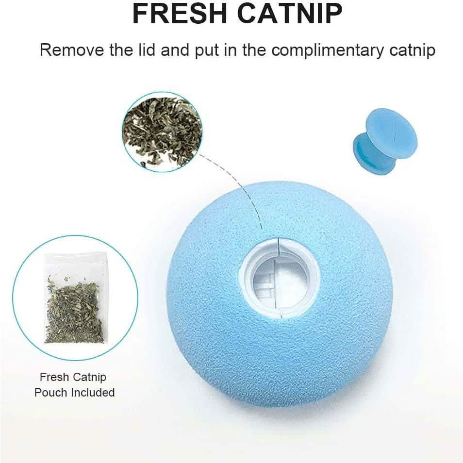 3-Pack: Realistic Chirping Balls Cat Toys DailySale