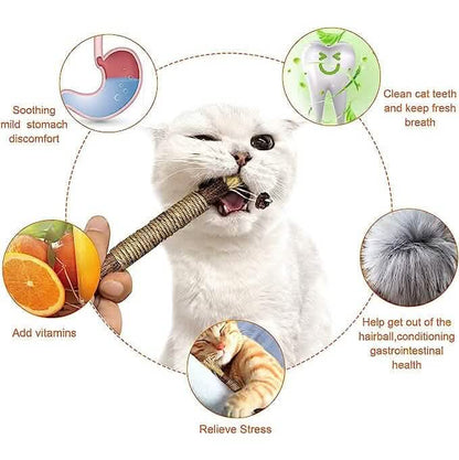 3-Pack: Silvervine Sticks Cat Toys DailySale