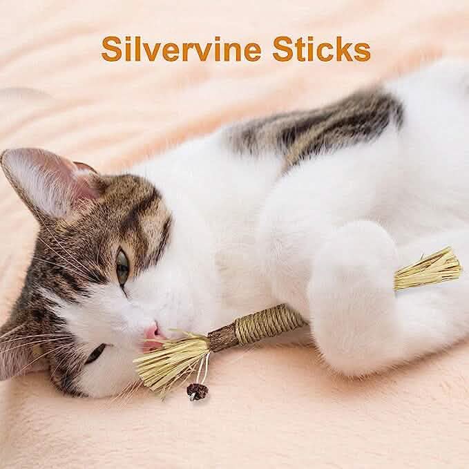 3-Pack: Silvervine Sticks Cat Toys DailySale