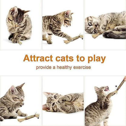 3-Pack: Silvervine Sticks Cat Toys DailySale