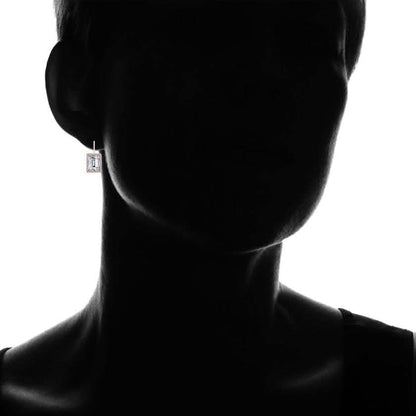 3-Pair Set: Women's Leverback Earrings DailySale
