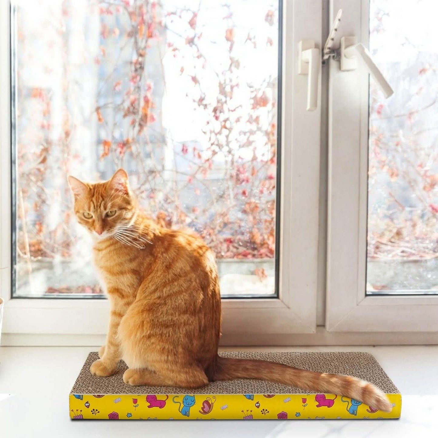 3-Piece: Cat Scratcher Pads DailySale