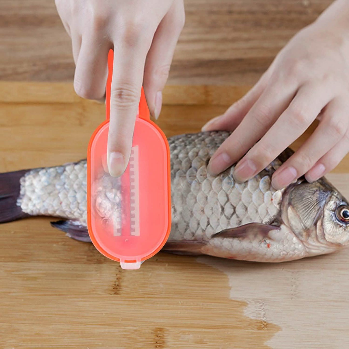 3-Piece: Fish Scale Remover DailySale