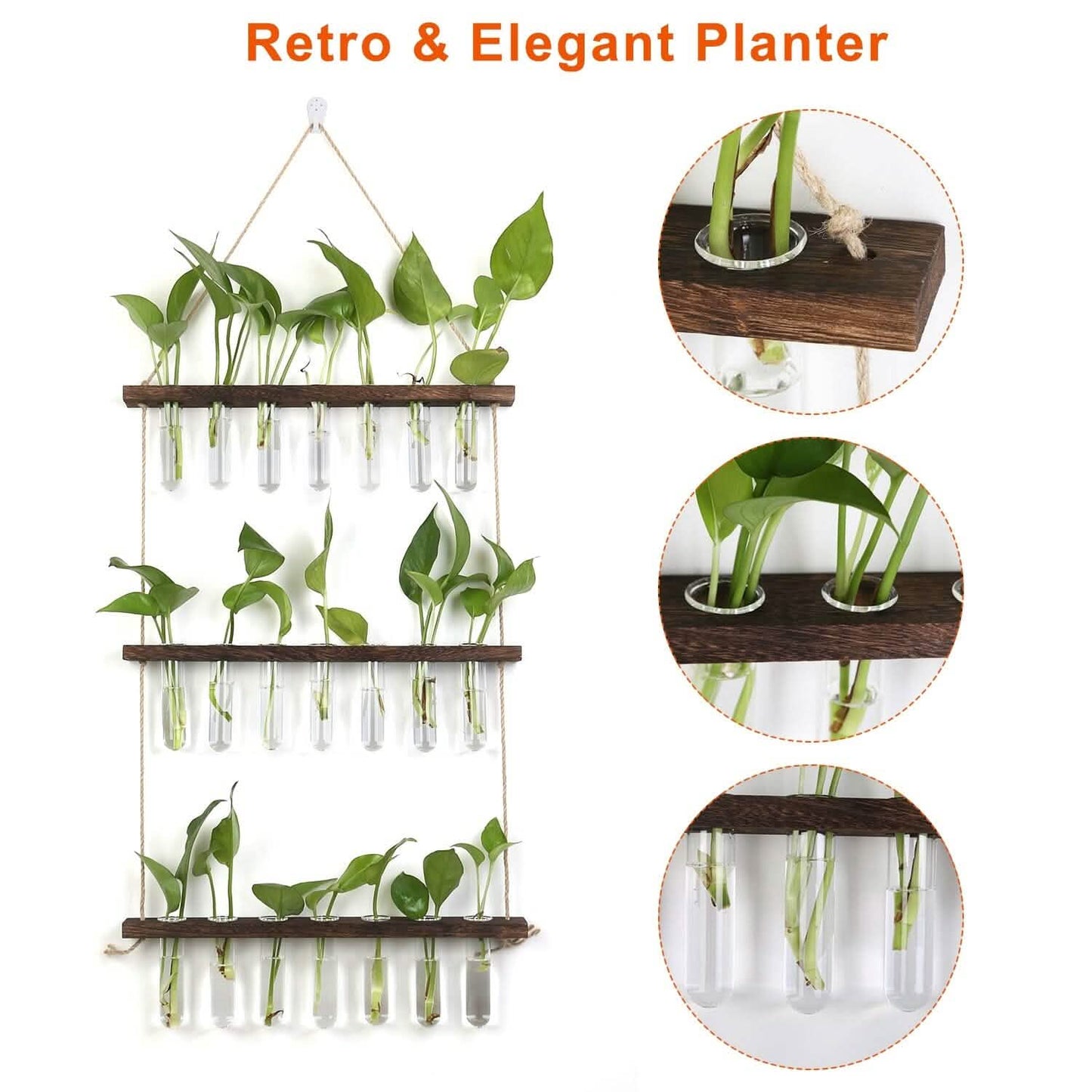 3-Tier Wall Hanging Glass Tube Planter DailySale