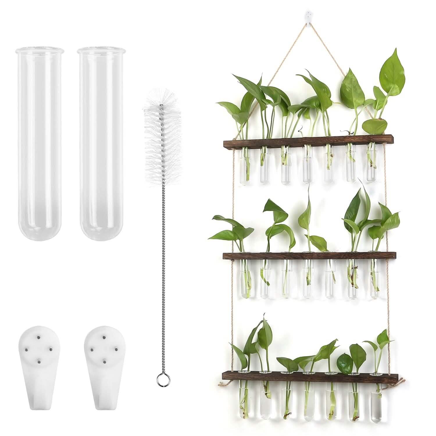 3-Tier Wall Hanging Glass Tube Planter DailySale