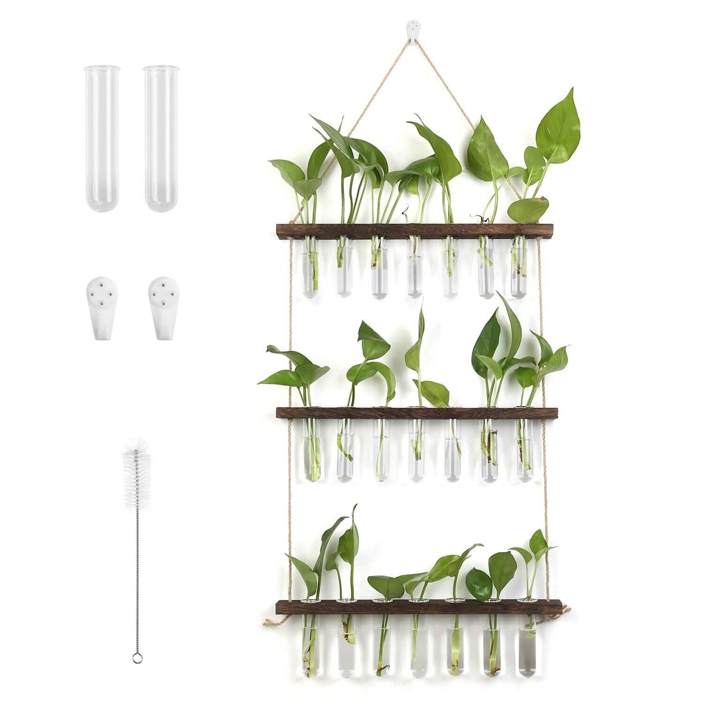 3-Tier Wall Hanging Glass Tube Planter DailySale