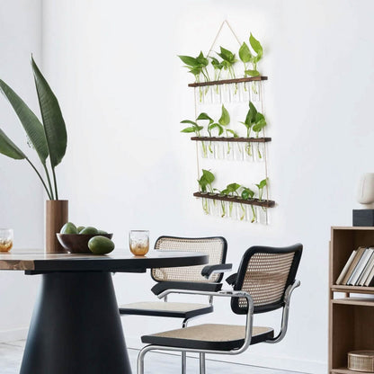 3-Tier Wall Hanging Glass Tube Planter DailySale