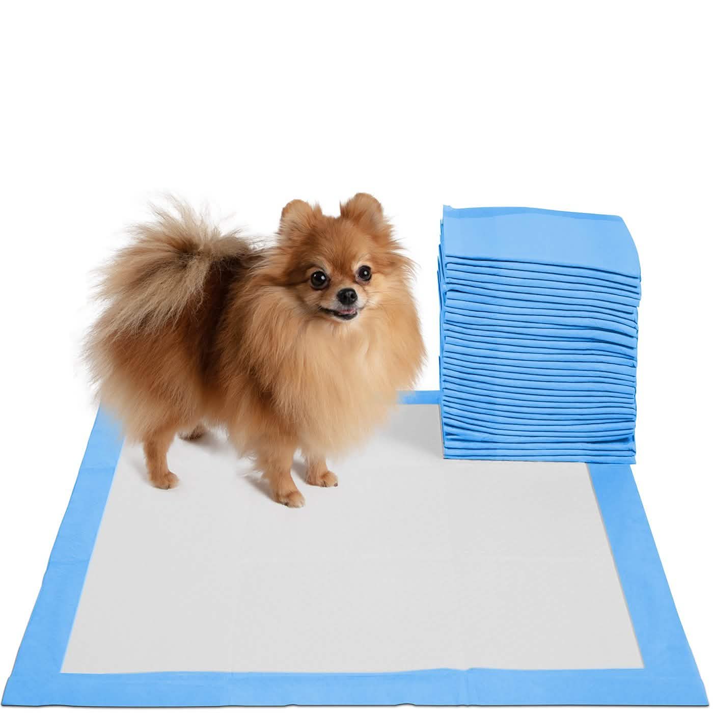 30-Pack: Paws & Pals Puppy Pee Pads Potty Training Leak-Proof DailySale