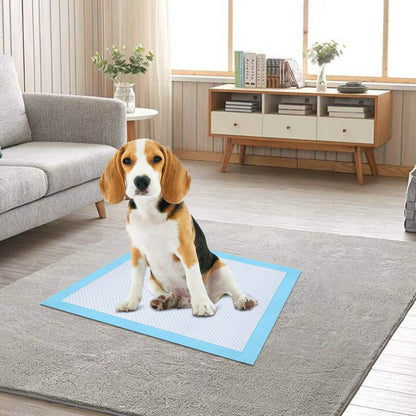 30-Piece: Ownpets Pet Dog Training Pads DailySale