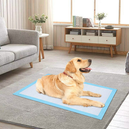 30-Piece: Ownpets Pet Dog Training Pads DailySale