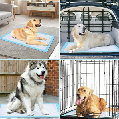 30-Piece: Ownpets Pet Dog Training Pads DailySale