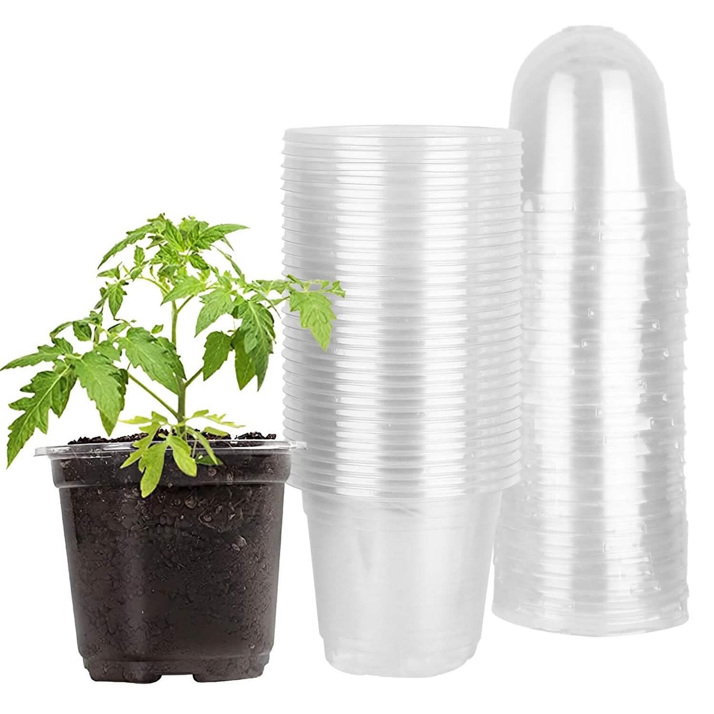 30-Pieces: Plant Nursery Pots PET Flower Seed Starting Pots Container with Dome Drainage Holes DailySale