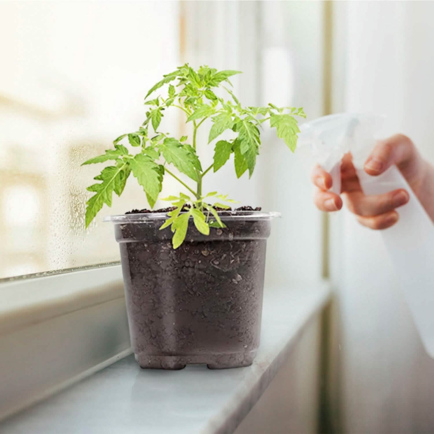 30-Pieces: Plant Nursery Pots PET Flower Seed Starting Pots Container with Dome Drainage Holes DailySale
