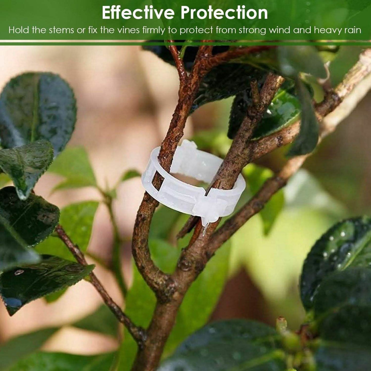 300-Pieces: Garden Plant Support Clips DailySale