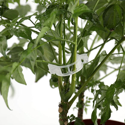 300-Pieces: Garden Plant Support Clips DailySale