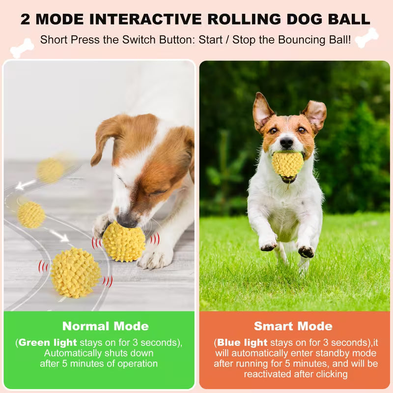 Smart Rolling & Bouncing Pet Ball – Motion-Activated DailySale