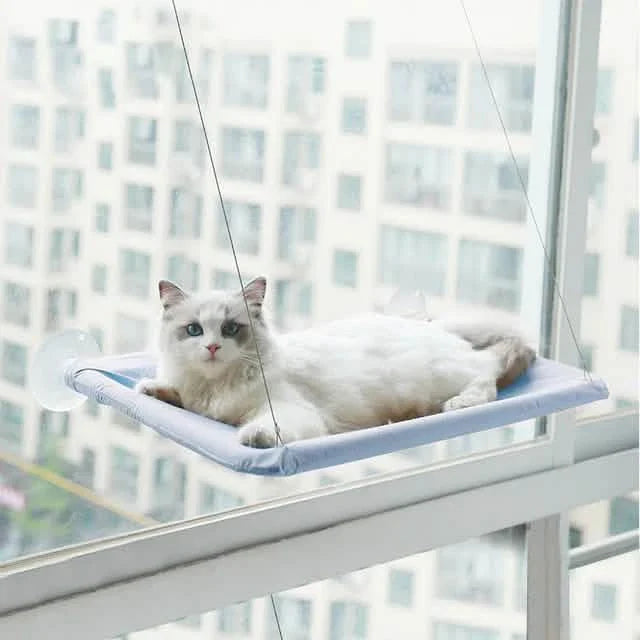 360¬∞ Cat Window Hammock: A Space-Saving Sunny Seat for Indoor Cats! DailySale