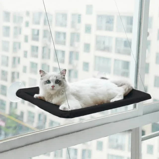 360¬∞ Cat Window Hammock: A Space-Saving Sunny Seat for Indoor Cats! DailySale
