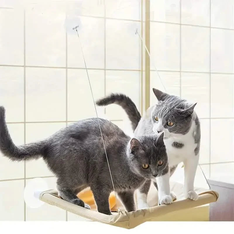 360¬∞ Cat Window Hammock: A Space-Saving Sunny Seat for Indoor Cats! DailySale