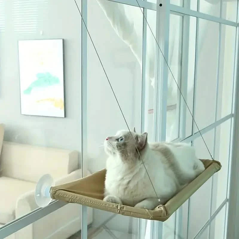 360¬∞ Cat Window Hammock: A Space-Saving Sunny Seat for Indoor Cats! DailySale