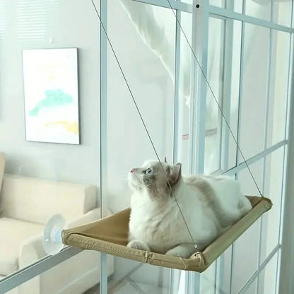360¬∞ Cat Window Hammock: A Space-Saving Sunny Seat for Indoor Cats! DailySale