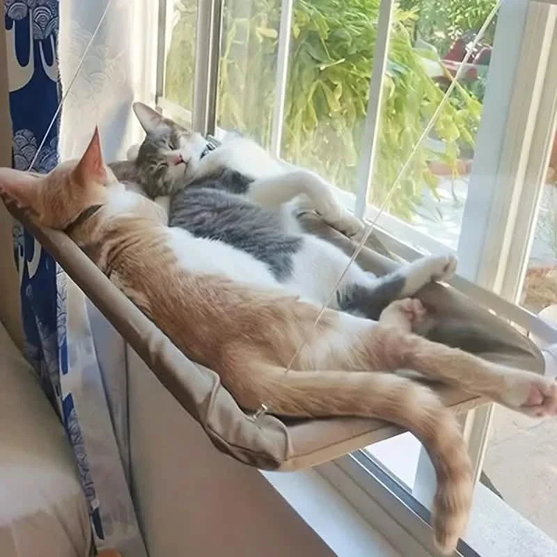 360¬∞ Cat Window Hammock: A Space-Saving Sunny Seat for Indoor Cats! DailySale