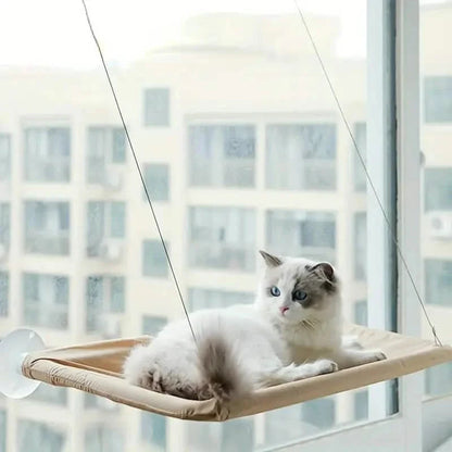 360¬∞ Cat Window Hammock: A Space-Saving Sunny Seat for Indoor Cats! DailySale
