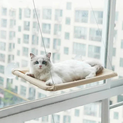 360¬∞ Cat Window Hammock: A Space-Saving Sunny Seat for Indoor Cats! DailySale