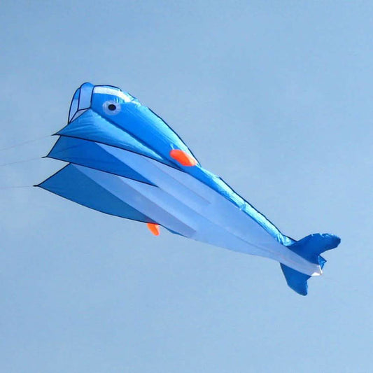 3D Kite Frameless Soft Giant and Parafoil DailySale