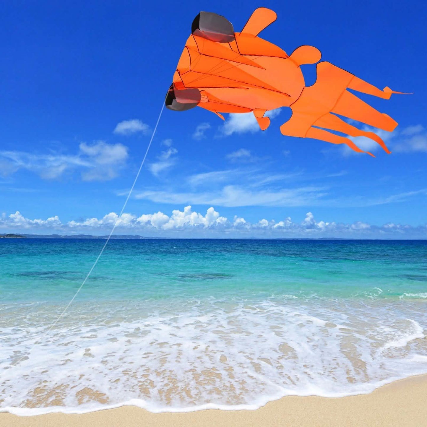 3D Kite Frameless Soft Giant and Parafoil DailySale