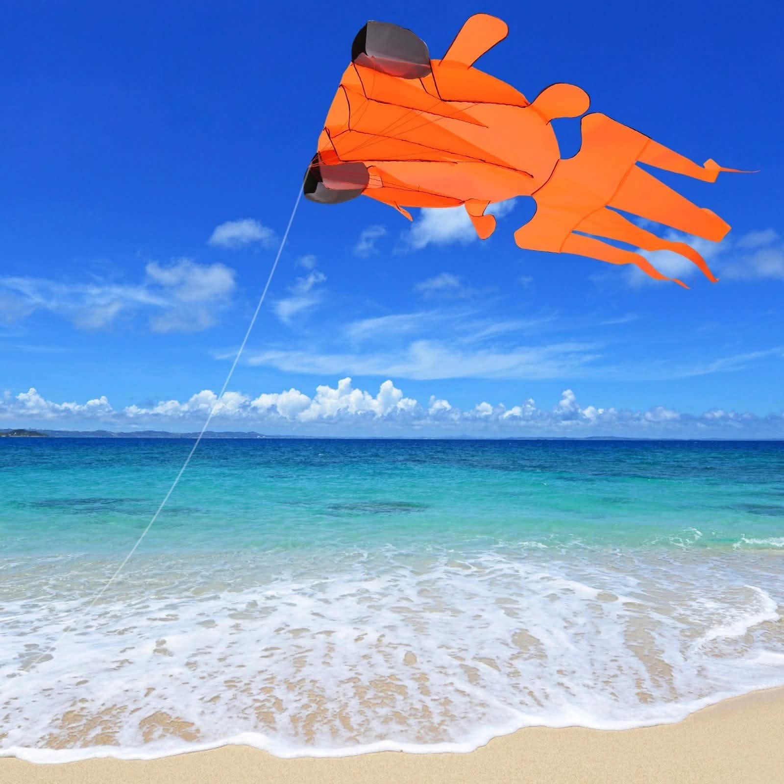 3D Kite Frameless Soft Giant and Parafoil DailySale