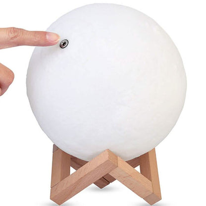 3D Printed Night Light Lamp DailySale