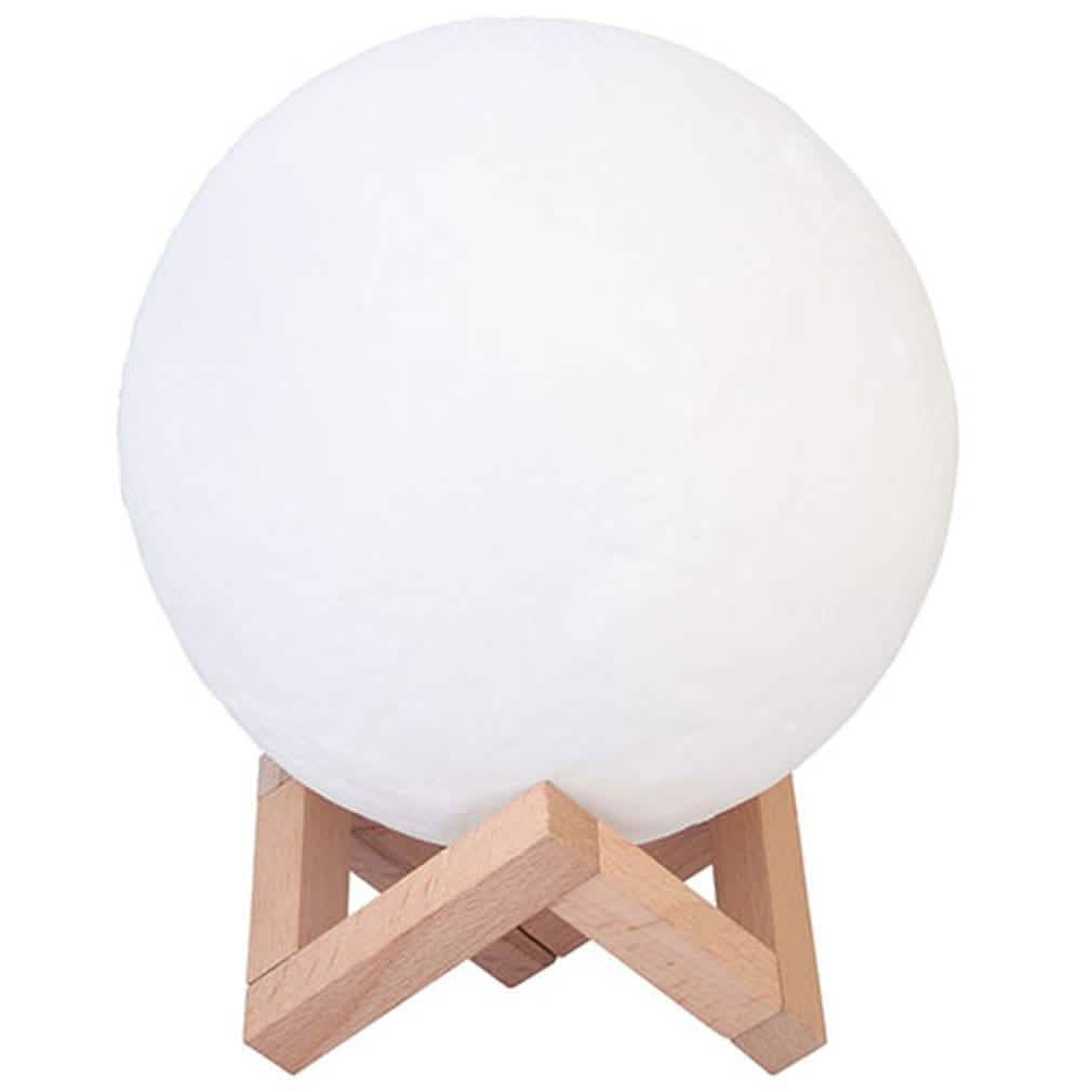 3D Printed Night Light Lamp DailySale