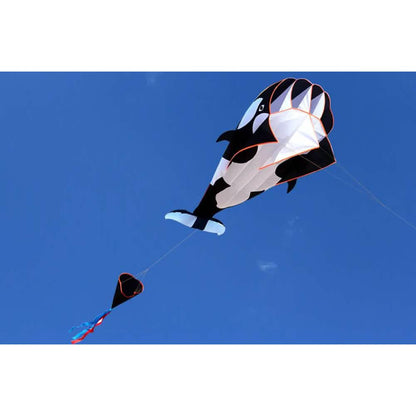 3D Whale Kite for Kids and Adults DailySale