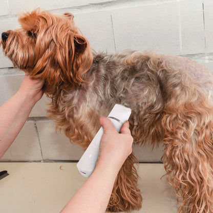 4-in-1 Electric Pet Dog Cat Grooming Kit Cordless Rechargeable DailySale
