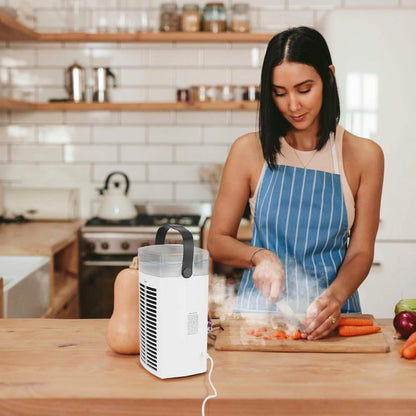 4-in-1 Evaporative Air Cooler Water Mist Cooling Fan DailySale